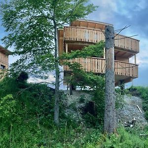 Wald Ist Zukunft